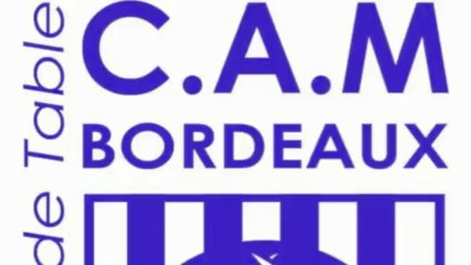 Bordeaux Open International 2013 de Tennis de Table