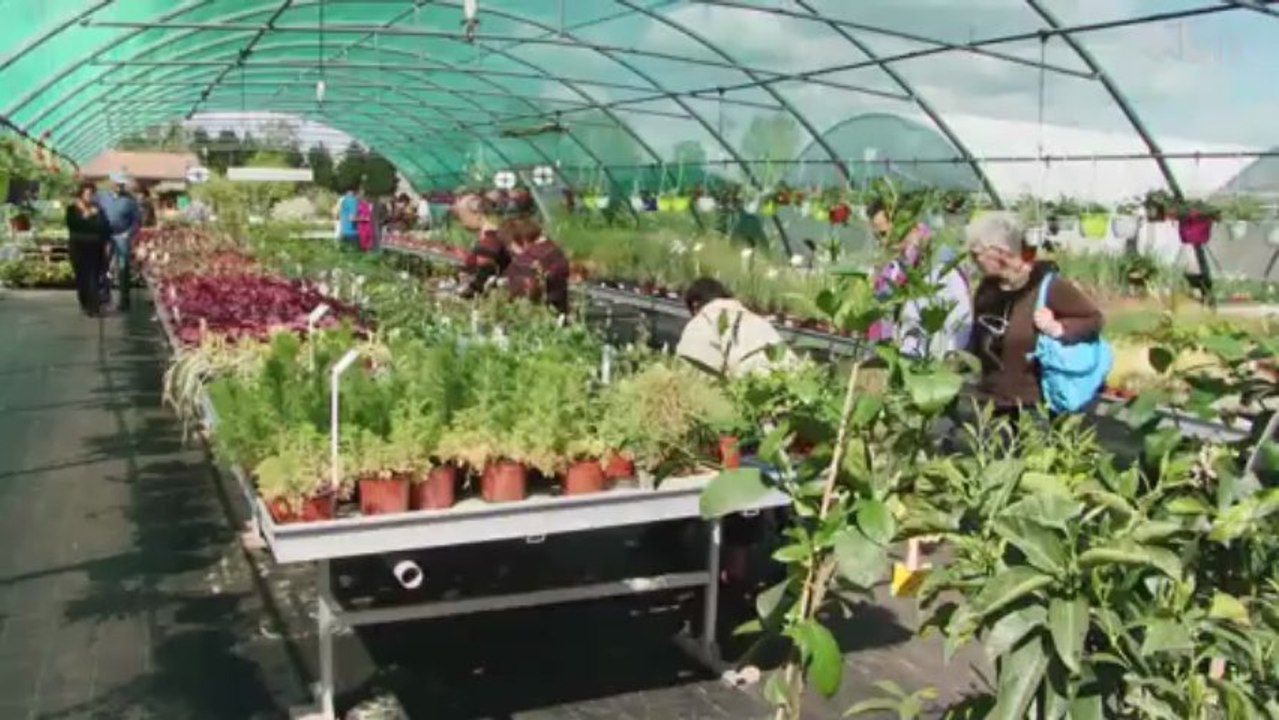 L'entreprise adaptée départementale (EAD) fête le printemps