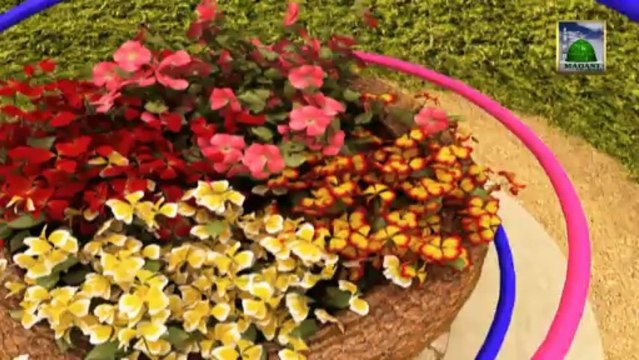 Madani Guldasta:373 - Dosre ke Aibon ko Chupana or Apni Islah Karna - Haji Ameen Attari