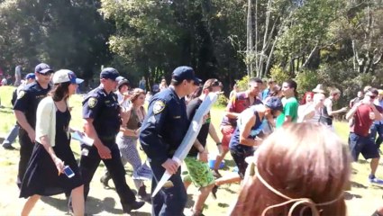 Un joint de 2,2kg est confisqué par des policiers