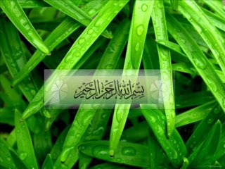 التبرج والازواج للشيخ سمير مصطفى حفظه الله تعالى