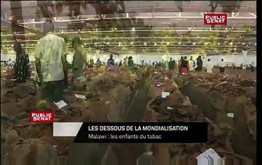 Les dessous de la mondialisation : MALAWI les Enfant du Tabac / Extrait 1
