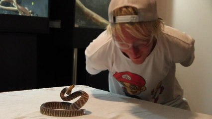 Se faire mordre le visage par un serpent