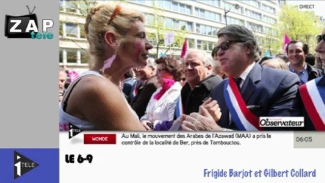 Zapping Actu du 23 Avril 2013 - Manifs et mariage pour tous, UMP et FN défilent ensembles