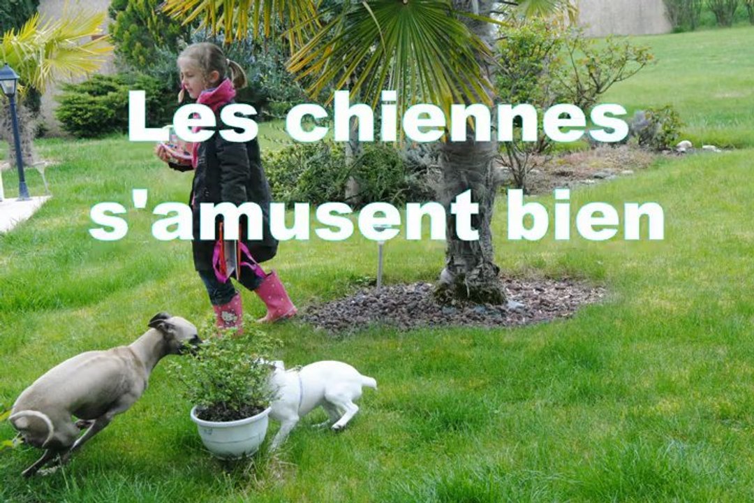 Vidéopad Pâques et c@stelm@tique Avril 2013 cours informatique à Castelnau d'Etrétefonds 31620