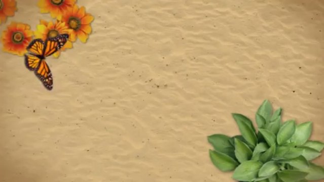 Platinum Chevrolet in Santa Rosa - 2013 Chevy Impala in Santa Rosa