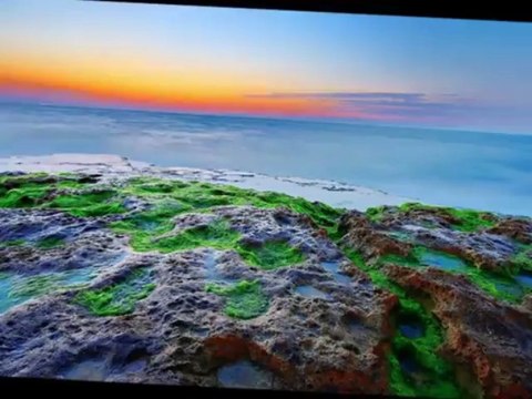 i Love You Syria.. Mawal Wadih El Safi