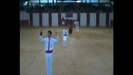 Saint-Loubouer 21/04/13 Dargelos (1° partie)