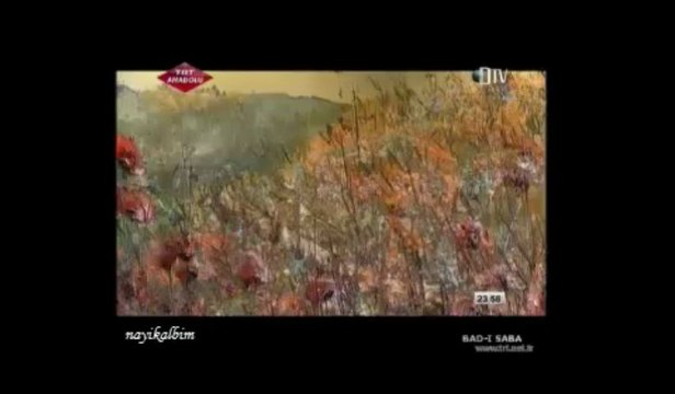 Adem Kemaneci Gönül hûn oldu - Kur'an