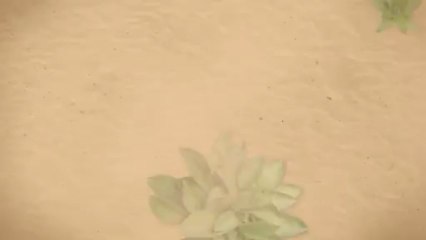 California Liquor License Applications