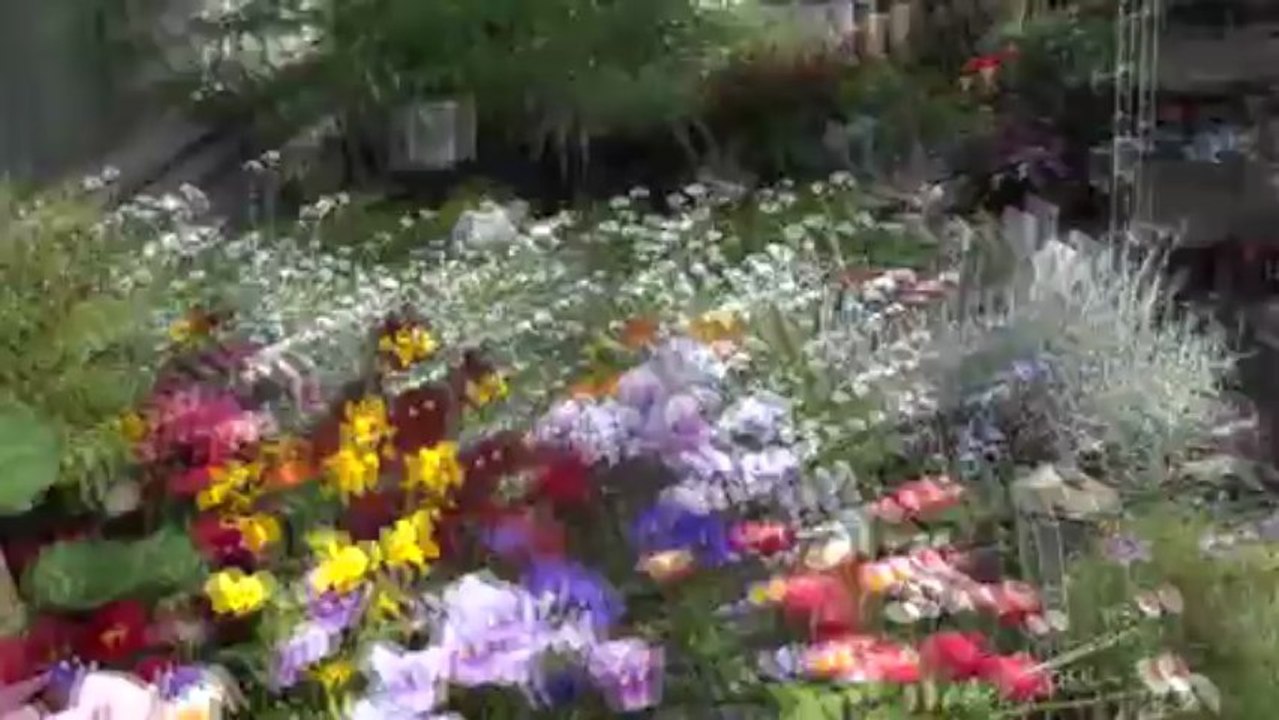 Rempoteuse chez Vergance à Xanrey