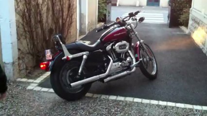 V&H straight shot slip on  and 1200 xl Custom