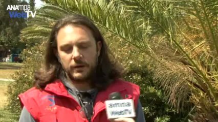 Σκύλοι οδηγοί τυφλών