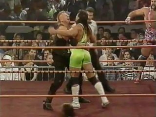 45. 90-10-27 Rick & Scott Steiner vs. The Nasty Boys (Halloween Havoc)
