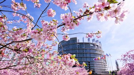 Retour en images : session plénière d'avril 2013