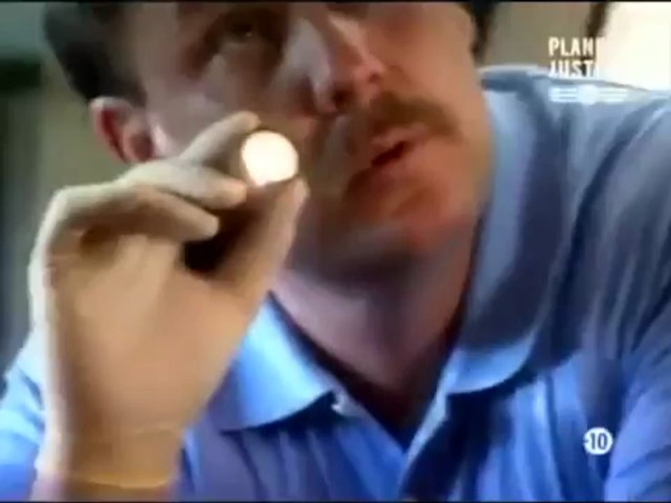 Les enquètes de Dayle Hinman