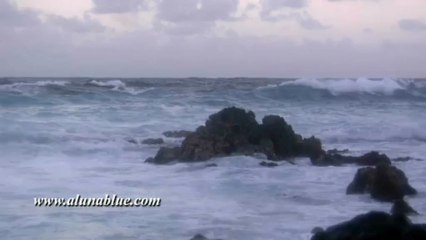 Stock Video - Tropical 01 clip 05 - Stock Footage - Video Backgrounds