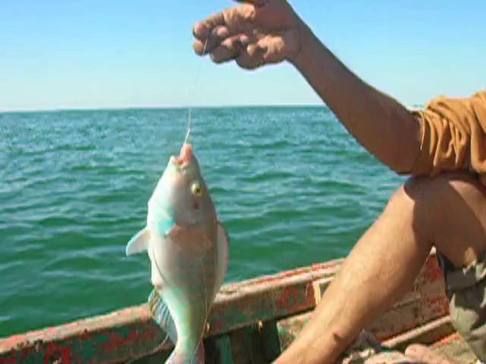 karachi fishing
