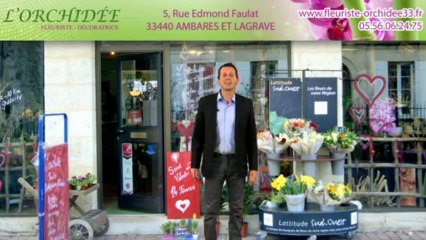 Fleuriste décorateur Ambarès