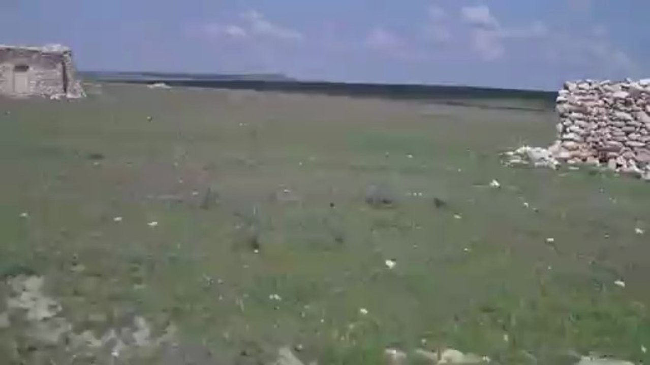 DOMALAN  TOPLAYANLAR-1