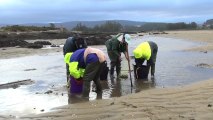 Pêche durable en Basse-Normandie : les pratiques durables