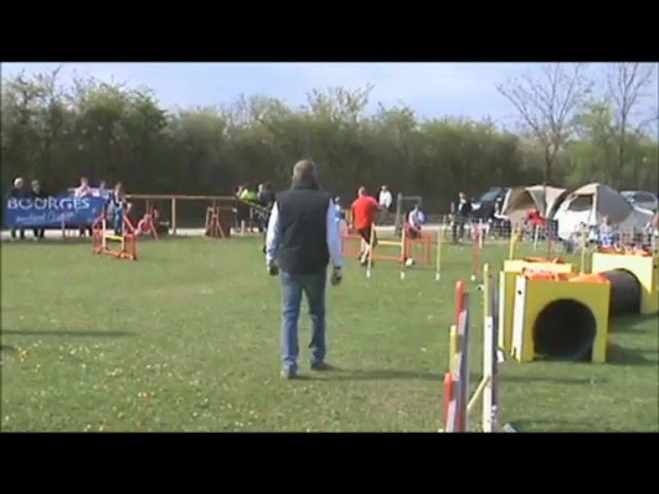 championnat regional agility 2013 region centre 3eme Degre B