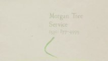 Morgan Tree Service (530) 877-4999