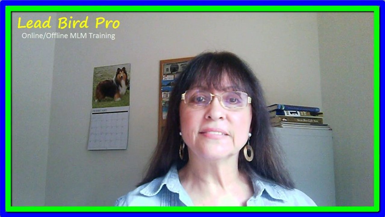 MLSP My Lead System Pro - How MLSP Pulls In Leads!