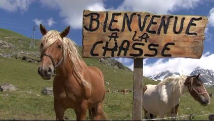 Chalet d'Alpage La Chasse