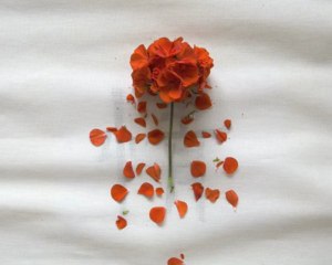 chan kai yuen▶ _Qing