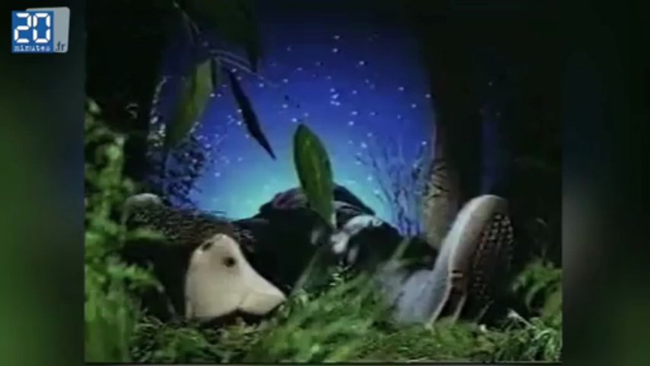 L’univers de Michel Gondry en vidéos