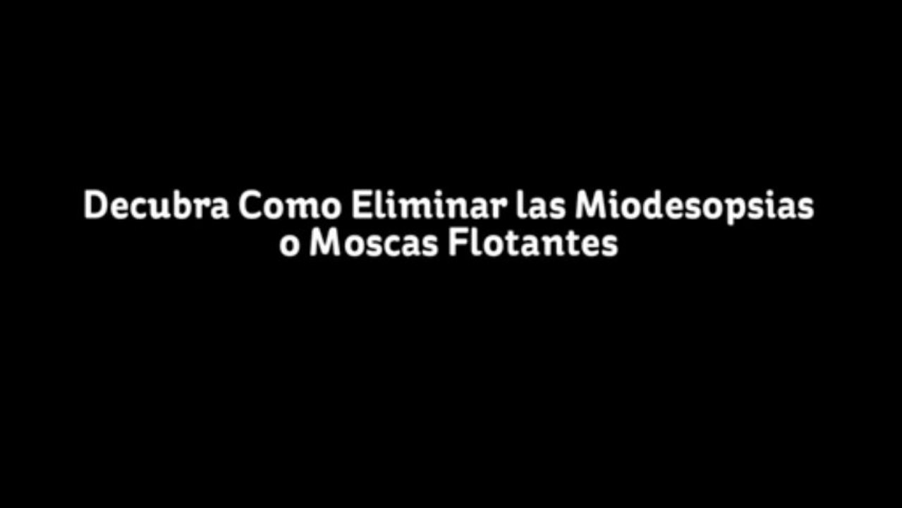 Moscas en los Ojos   Moscas Flotantes
