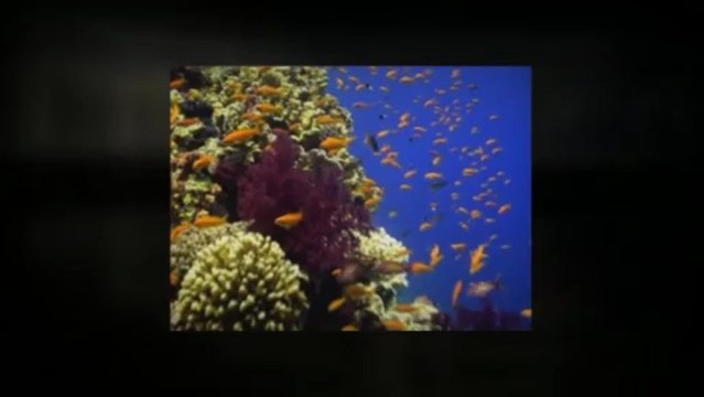 2013 Chevy Traverse at Platinum Chevrolet in Santa Rosa