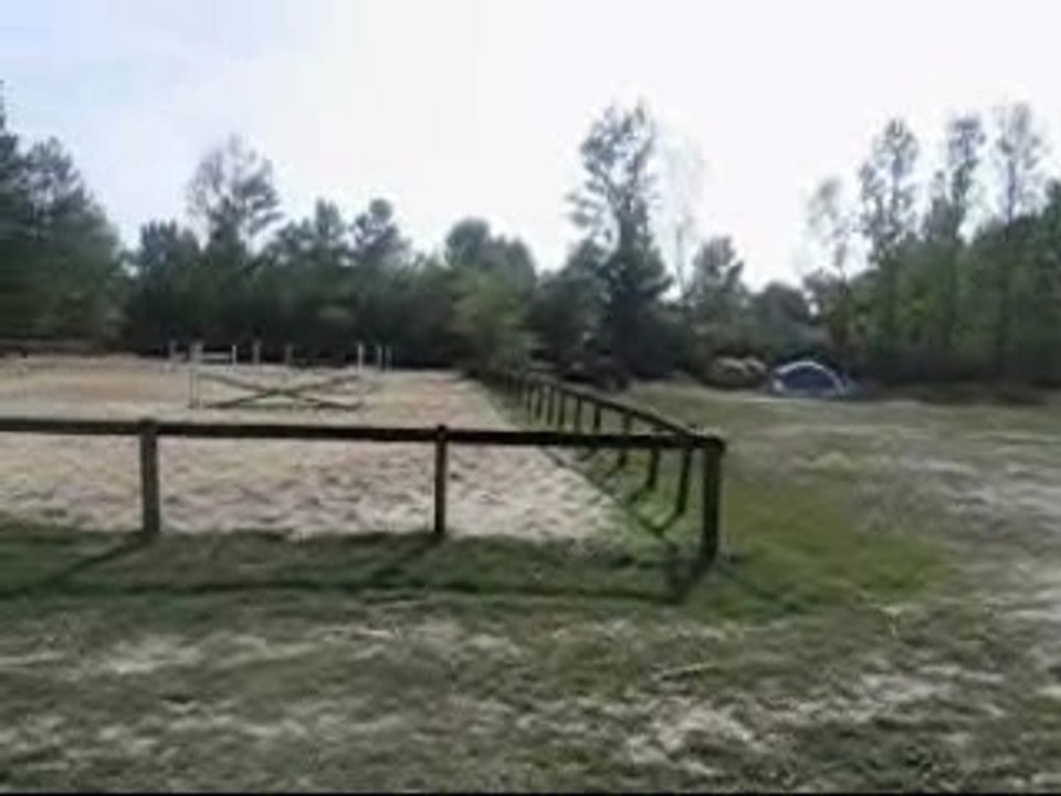 equilogos