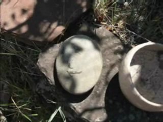 ,comme un peu de soleil dans l'eau froide