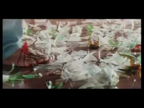 haisiyat ki jung scene 8