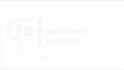 Jean-Philippe Feldman : Le principe de précaution