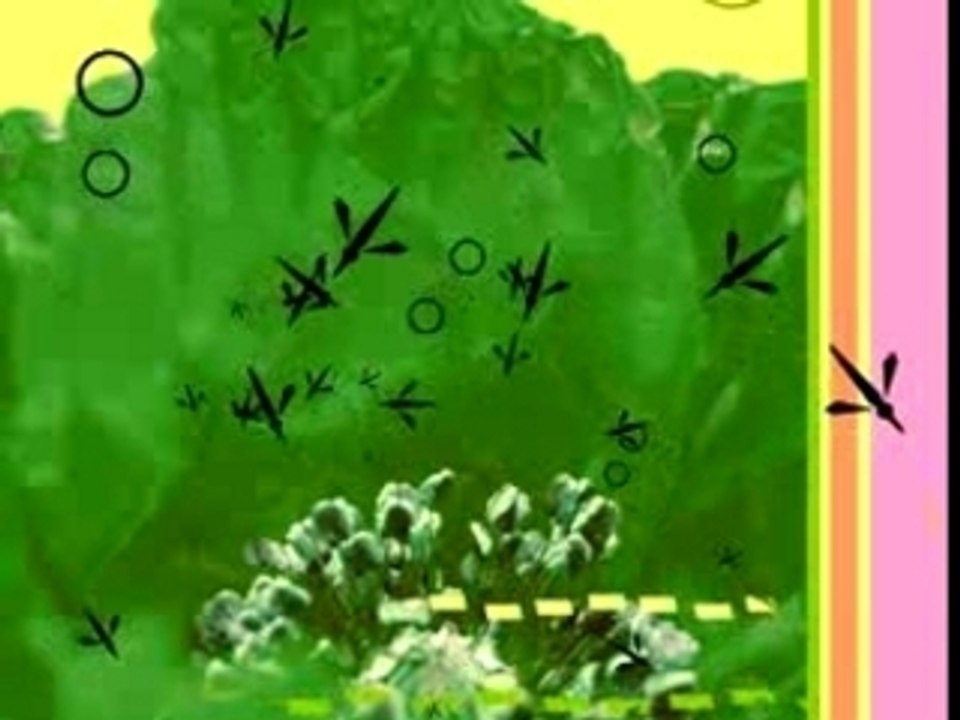 Mosquitos