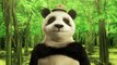 Panda speaks for the first time: Vote NMA for a Webby!