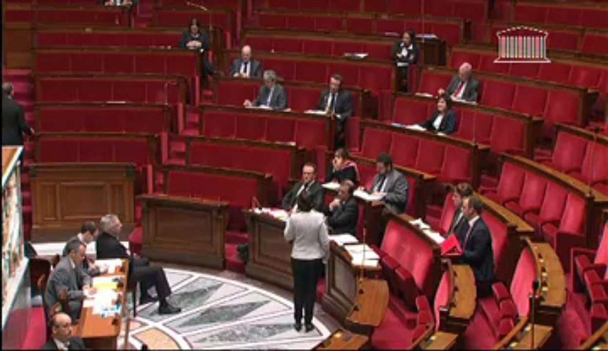 PPL Abad : réponse de Marie-Arlette CARLOTTI à l'Assemblée nationale