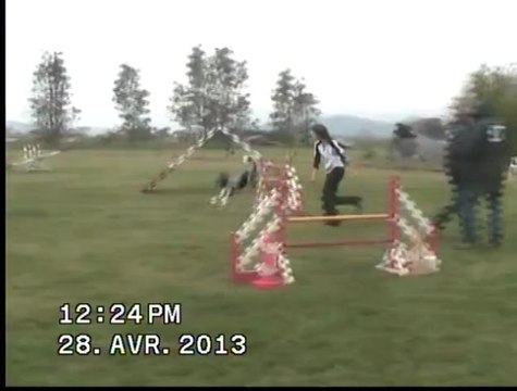 MARINE ET AWEN SELECTIF GPF 2013 AGILITY