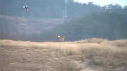 바카라강원랜드 ╊≤≤★ＧＧＯ２３３．ＣＯＭ★≥≥╉ 소라바카라