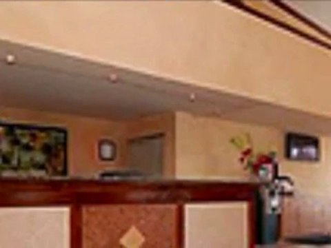 quality inn & suites walt disney world