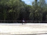 Leader et moi dressage E1 etrier