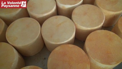 Affinage des fromages fermiers en Aveyron