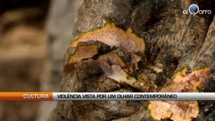 Tomo, a violência vista por um olhar contemporâneo