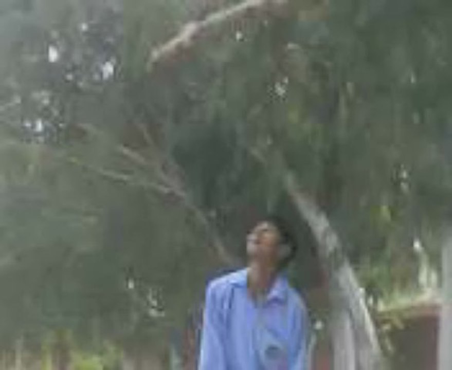 mian wali