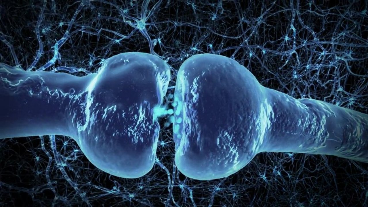 Télévision & animation Bande démo 2013