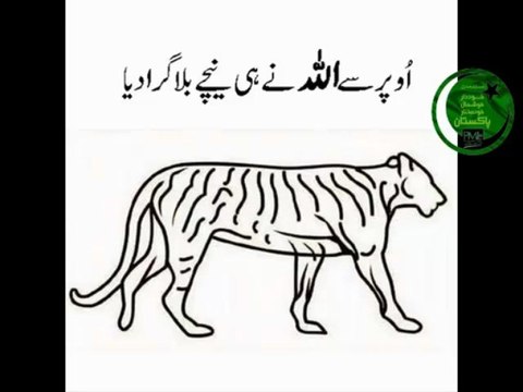 Quake hits Pakistan- PTI Bat comes crashing down