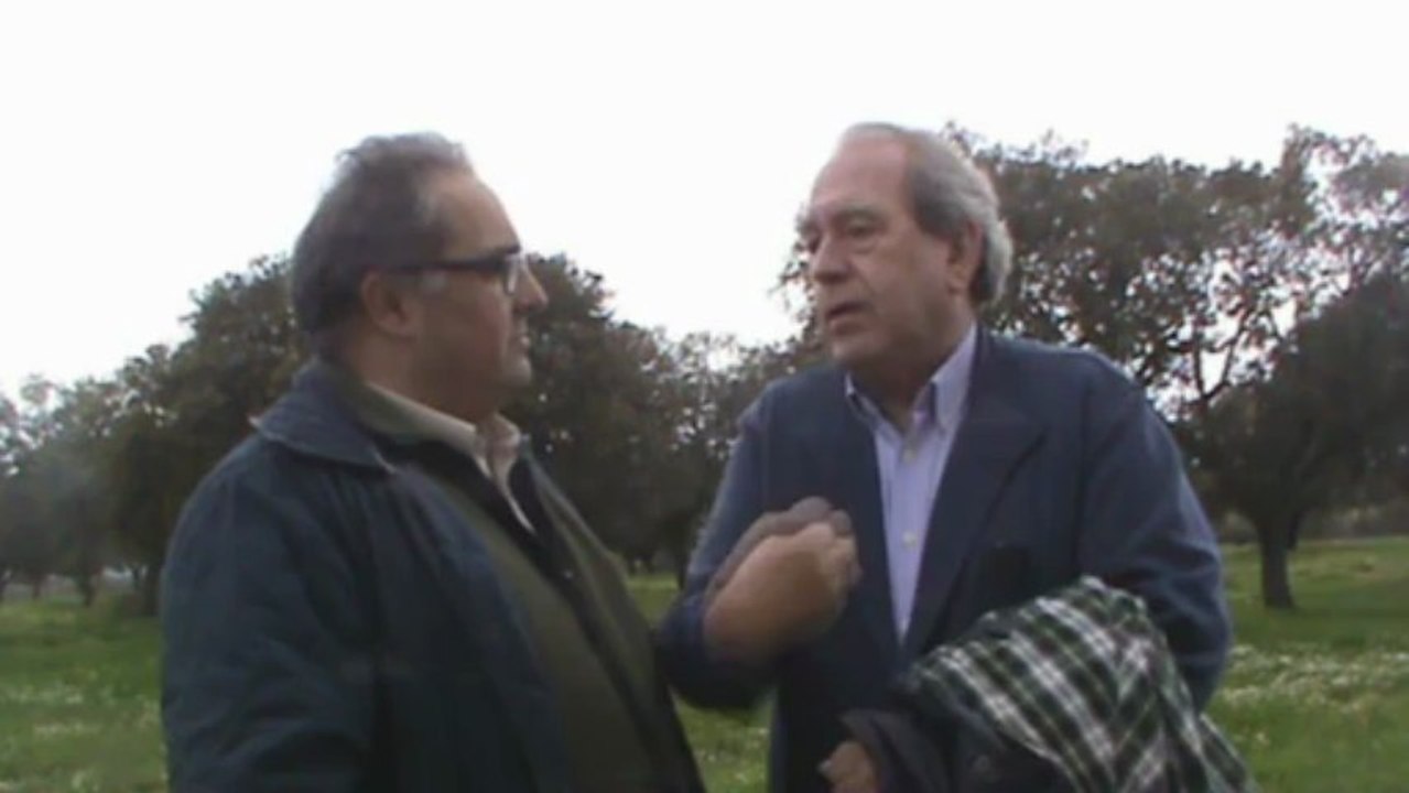 ENTREVISTA ABELLA